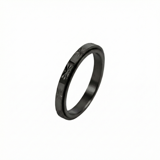 Matte Classic Rotating Ring - Stainless Steel