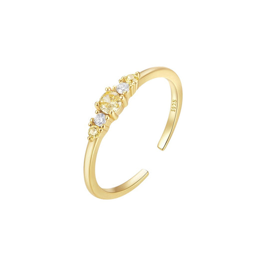 Vielring - Filigraner Zirkonia Stein Ring - 925 Silber - Gold