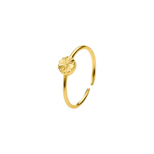 Vielring - Geometrischer Scheibenring 925 Sterling Silber • 18k Gold Vermeil - Gold