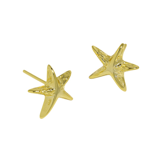 Sternen Ohrringe - 925 Silber